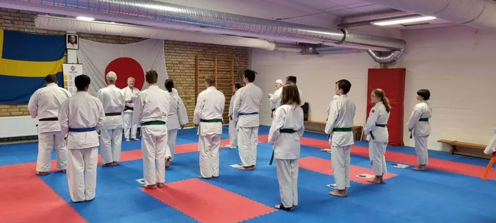 Shintai Kempo Eskilstuna — Kampsport i Helgestahill, Eskilstuna