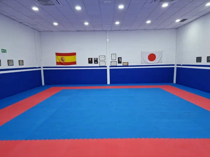 SEIKEN KARATE DO — artes marciales-studio en Jerez de la Frontera — 2