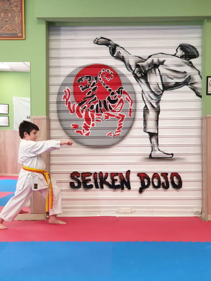 SEIKEN KARATE DO — artes marciales-studio en Jerez de la Frontera — 3