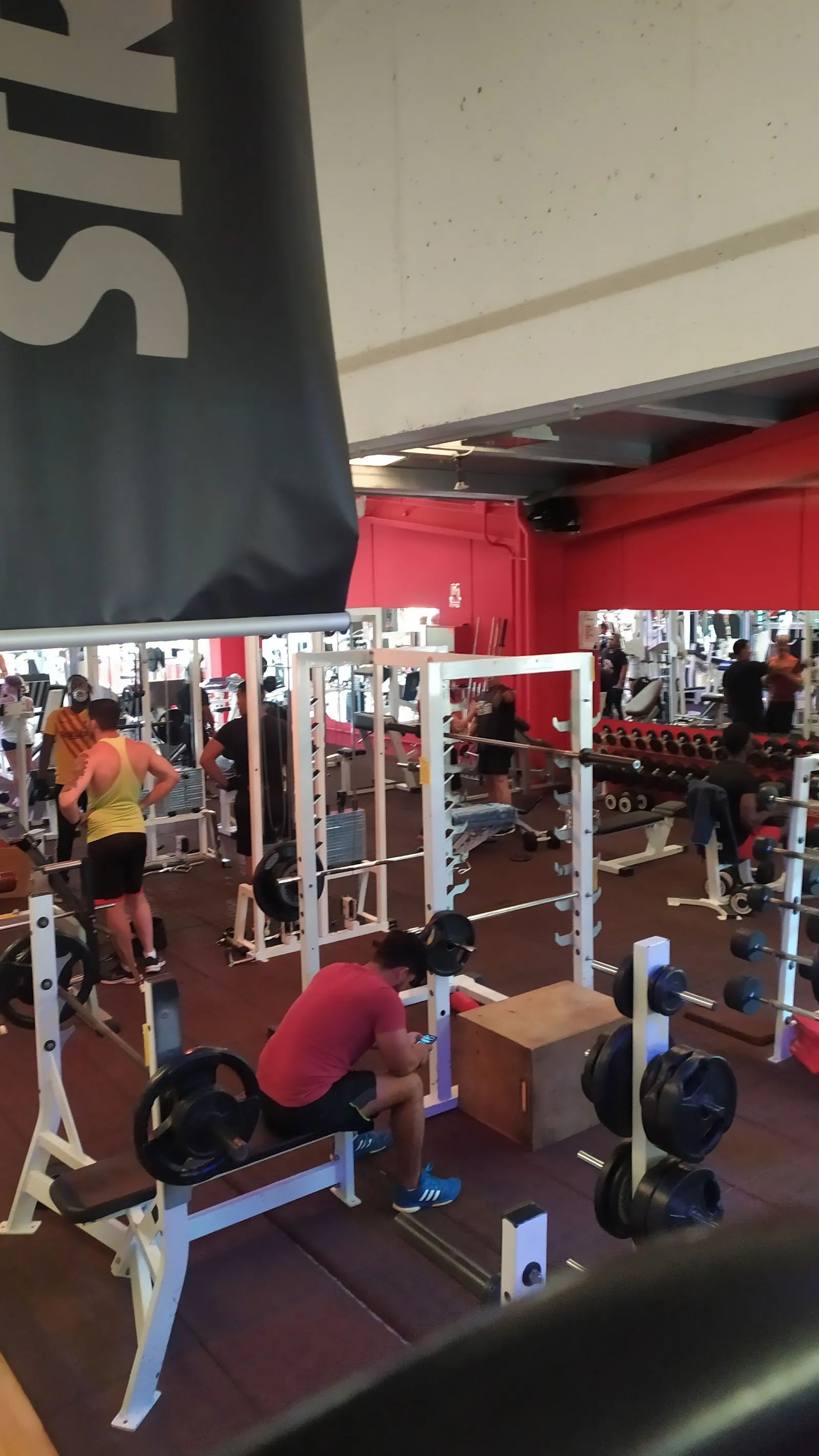 WELLNESS PLACE FITNESS CENTER — estudio de fitness-studio en Fontcoberta — 3