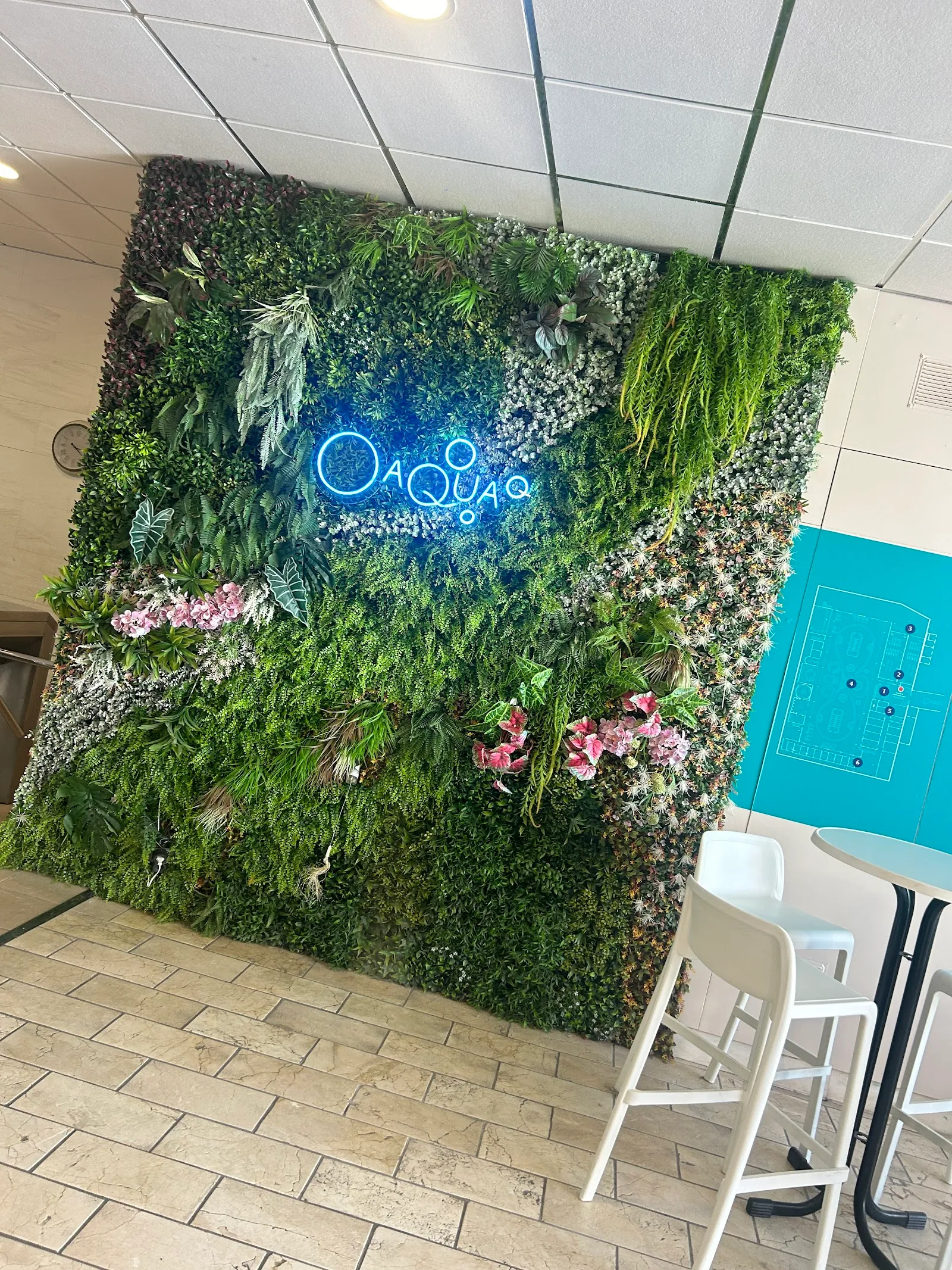 Aqua Club Termal — estudio de fitness-studio en Torvisca Alto — 2