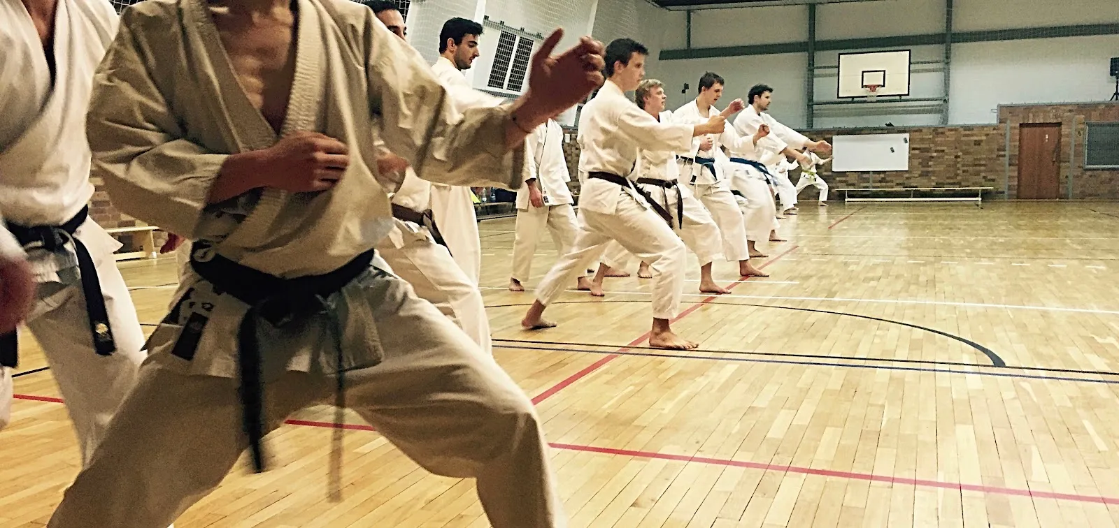 Shotokan Karate Berlin e.V. — kampfsport-studio in Mitte, Berlin — 3