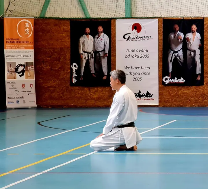 Shotokan Kyokai Berlin Mitte — kampfsport-studio in Berlin — 3