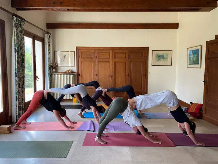 YinYogaParis — Yoga à Paris
