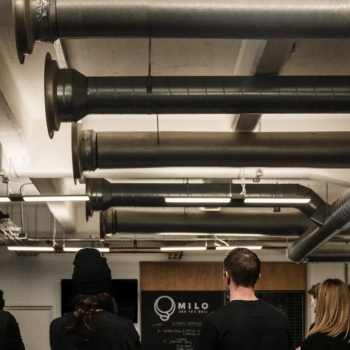 Milo and the Bull Bridge — reformer pilates-studio in London — 4