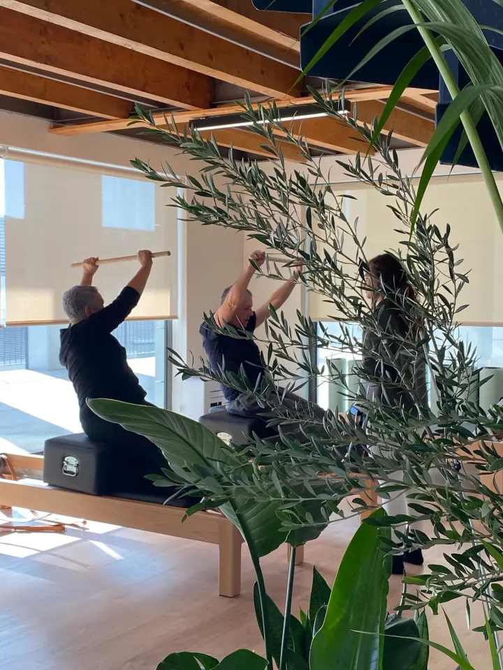 MOVE | Pilates Antas — pilates-studio em Campanhã, Porto — 3