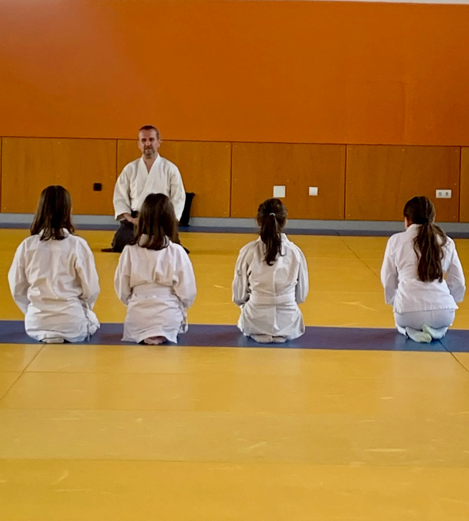 CDE AIKIDO AFAMAJADAHONDA — artes marciales-studio en Majadahonda — 3