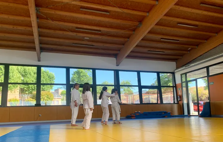 CDE AIKIDO AFAMAJADAHONDA — artes marciales-studio en Majadahonda — 4