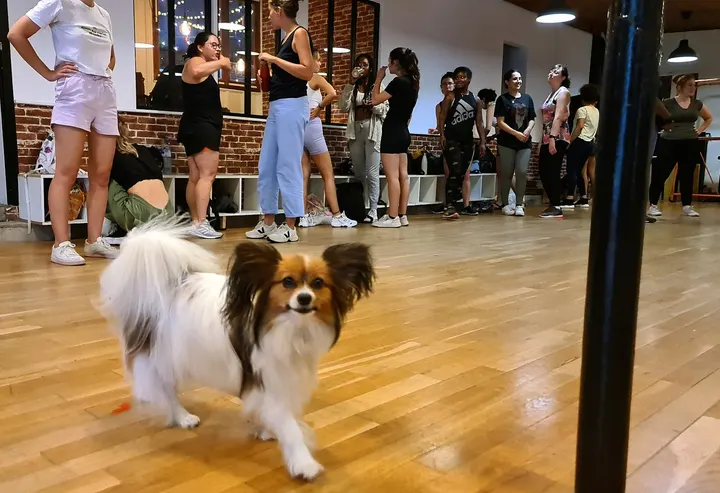 La Maison du Mouvement — danse-studio à Montagne Verte, Strasbourg — 3