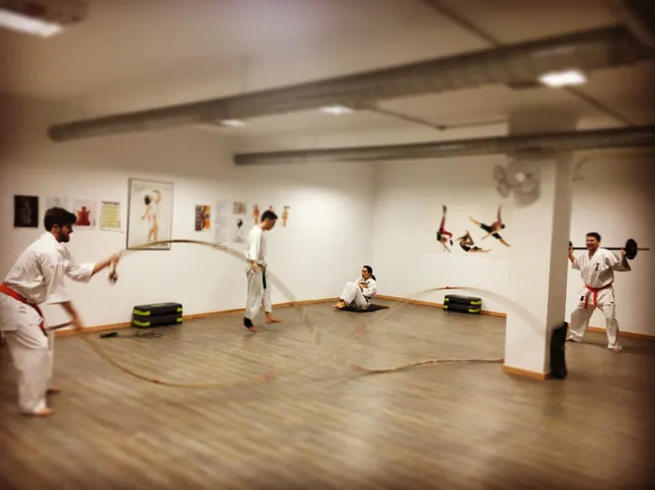 Kankukan Dojo Kyokushin-kan Karate Madrid España — Artes marciales en Majadahonda