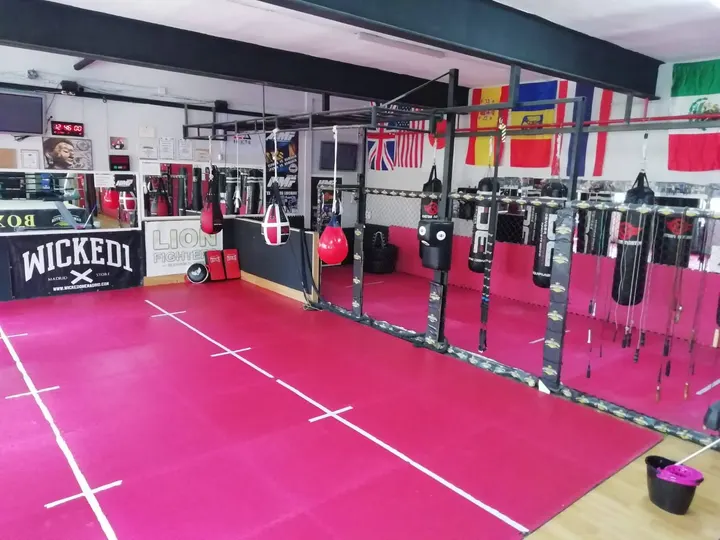 Hammer center — artes marciales-studio en Guadalajara — 4