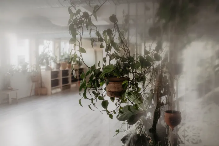 Satya Yoga — yoga-studio i Stavanger — 5