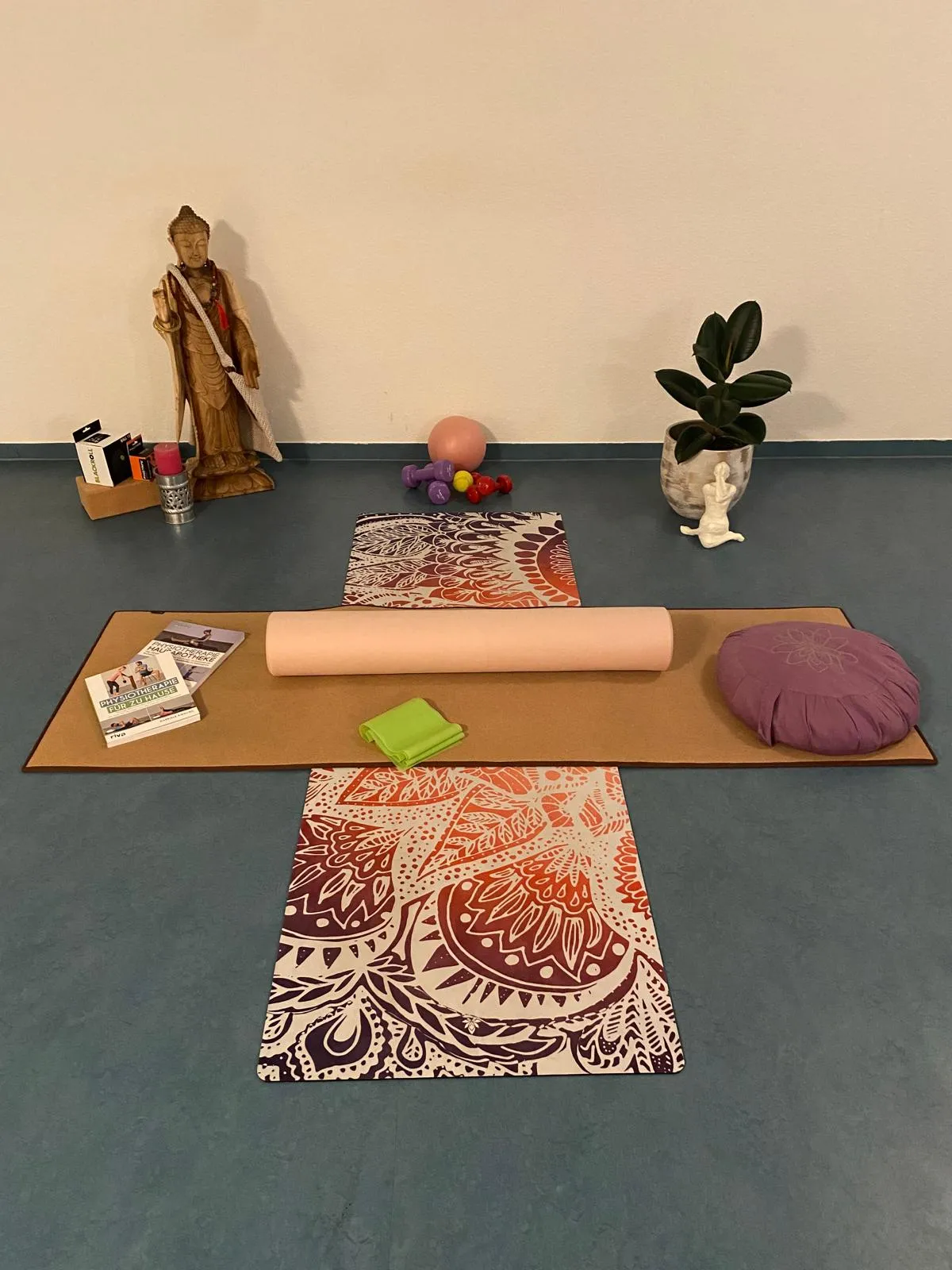 Yoga-Pilates-Trainerin und Physiotherapeutin — yoga-studio in Schloß Neuhaus, Paderborn — 2