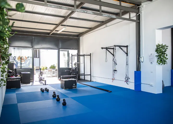 Believe Training Studio — bjj-studio a Molinetto, Parma — 3