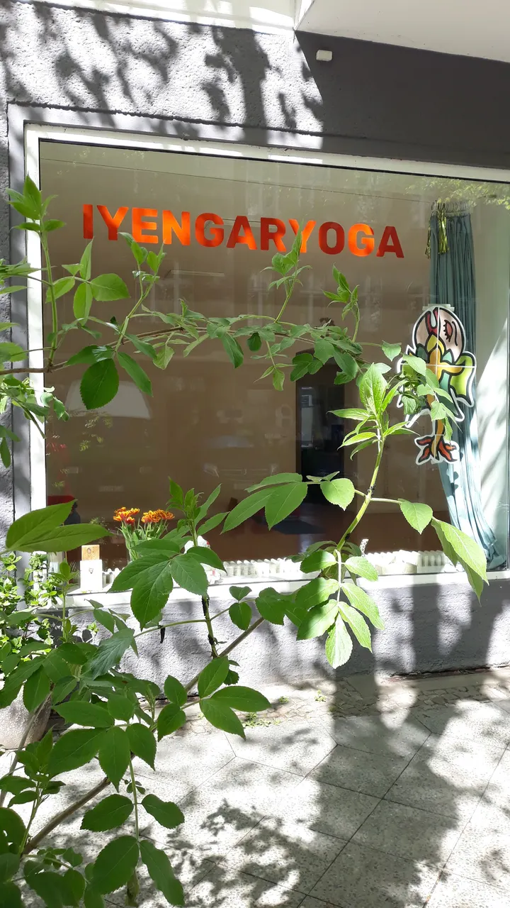 Iyengar Yoga Friedrichshain — yoga-studio in Friedrichshain, Berlin — 3