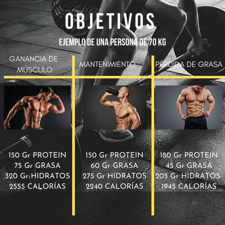 Dams trainer- Entrenador Personal Pamplona — entrenamiento personal-studio en Pamplona — 3