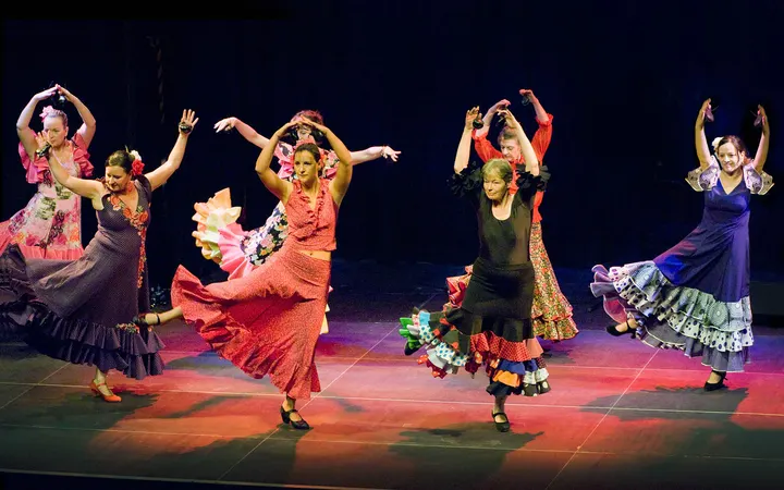 BAILANDO Flamenco- u. Balletstudio — Tanz in Altstadt, Mainz