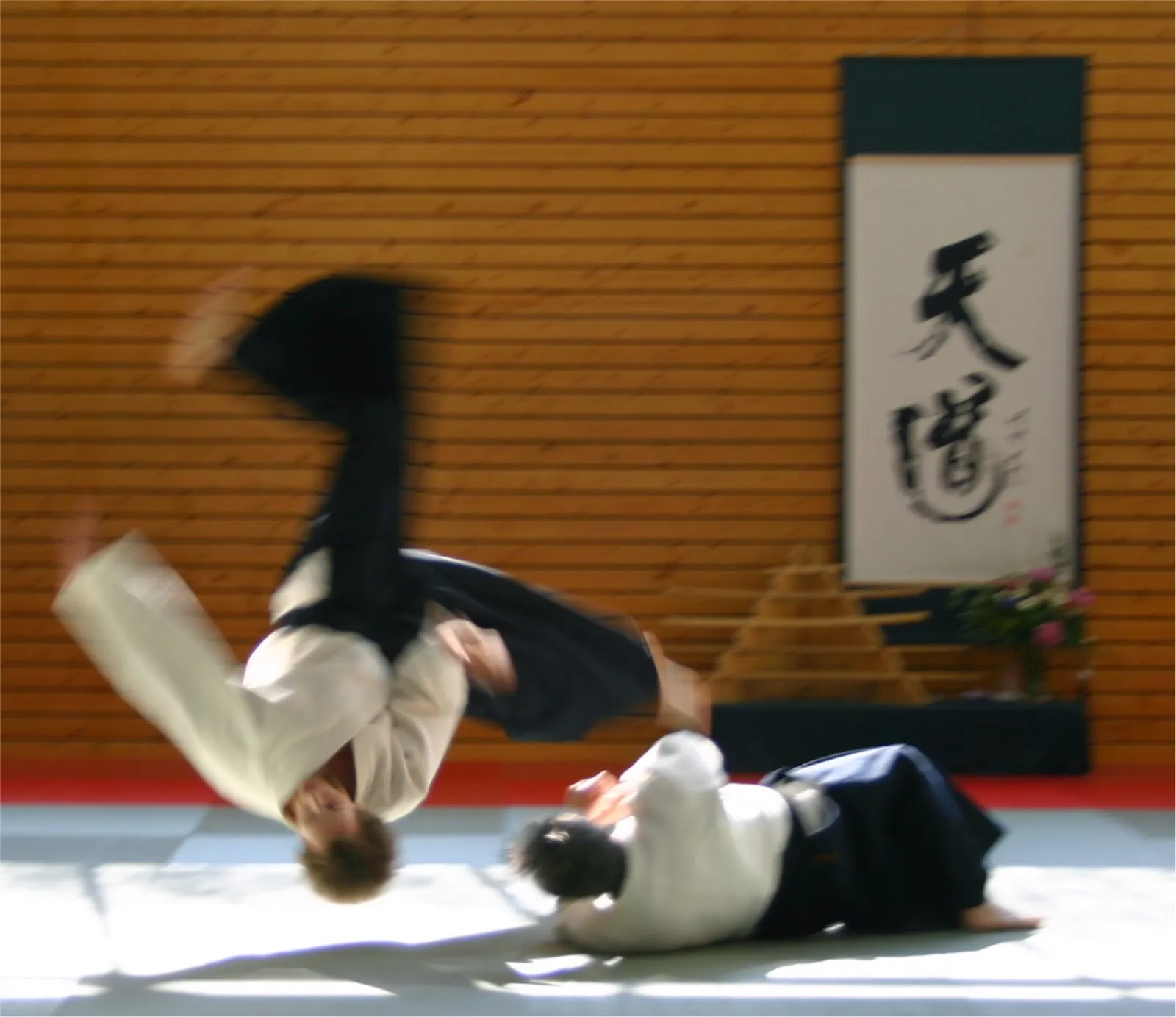 Aikido Berlin Steglitz — kampfsport-studio in Berlin — 5