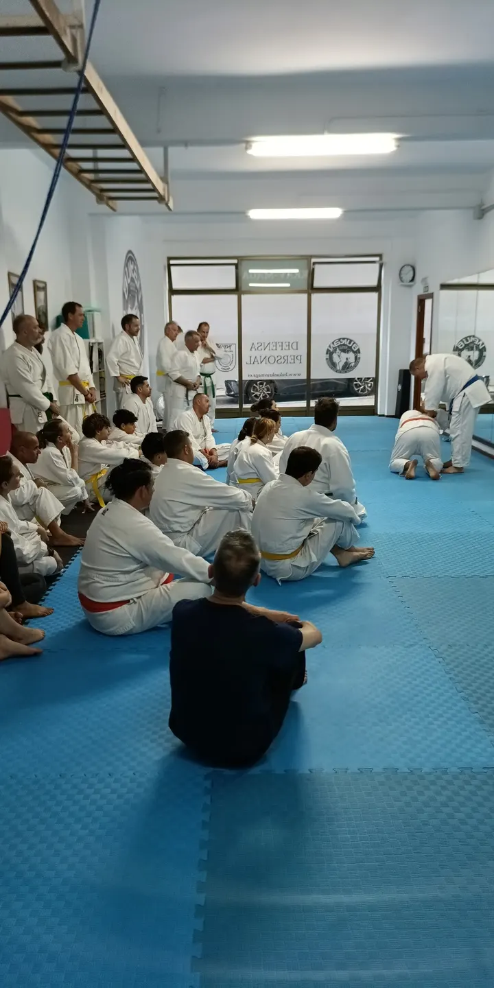 ESCUELA BUKAN KRAV-MAGA VIGO — artes marciales-studio en Vigo — 5