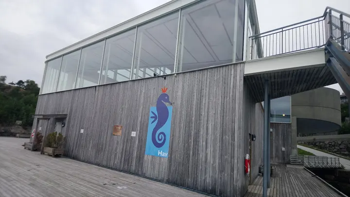 Havhesten — treningsstudio i Gaddevåg, Florø — 2