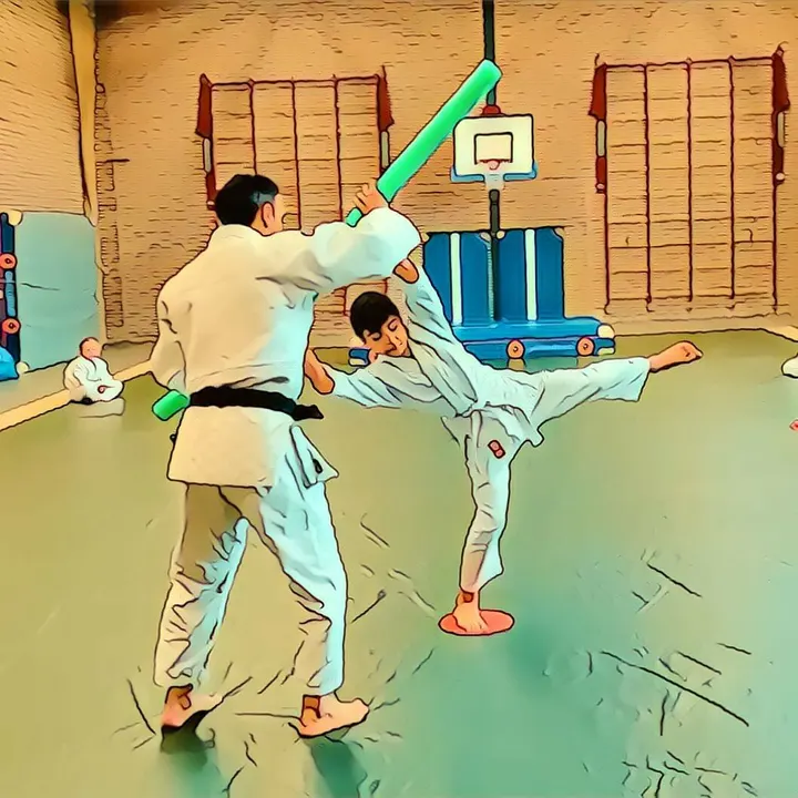 Judolab Hoorn — vechtsport-studio in Kersenboogerd, Hoorn — 2