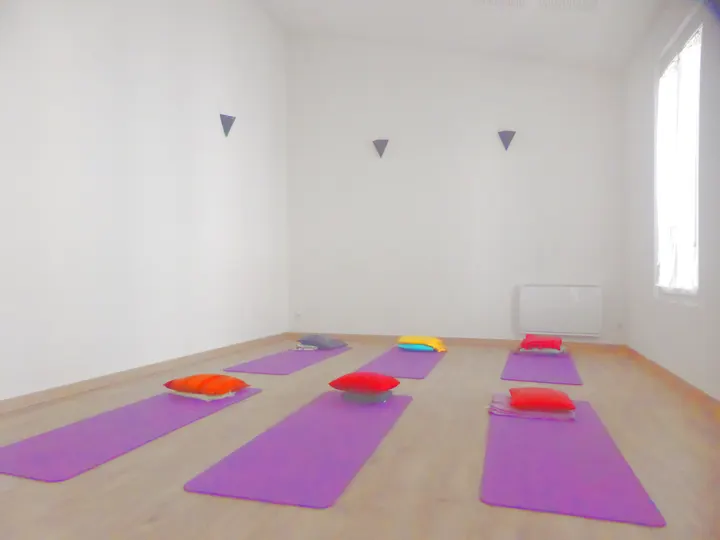 Yogahimsa Beaux-Arts — Yoga aux Beaux-Arts, Montpellier