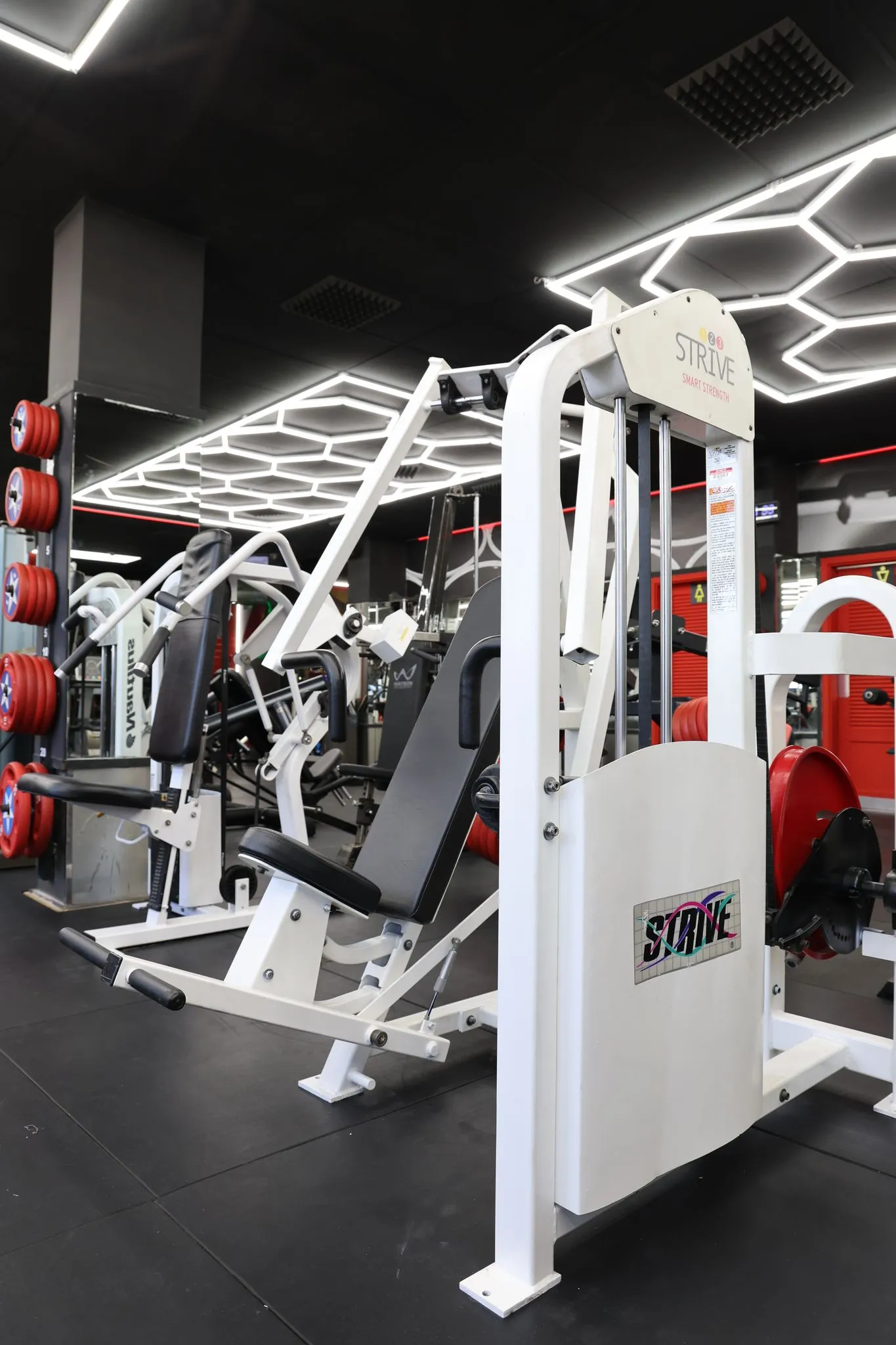 Zenith Gym — träningsstudio-studio i Las Palmas de Gran Canaria — bild 4