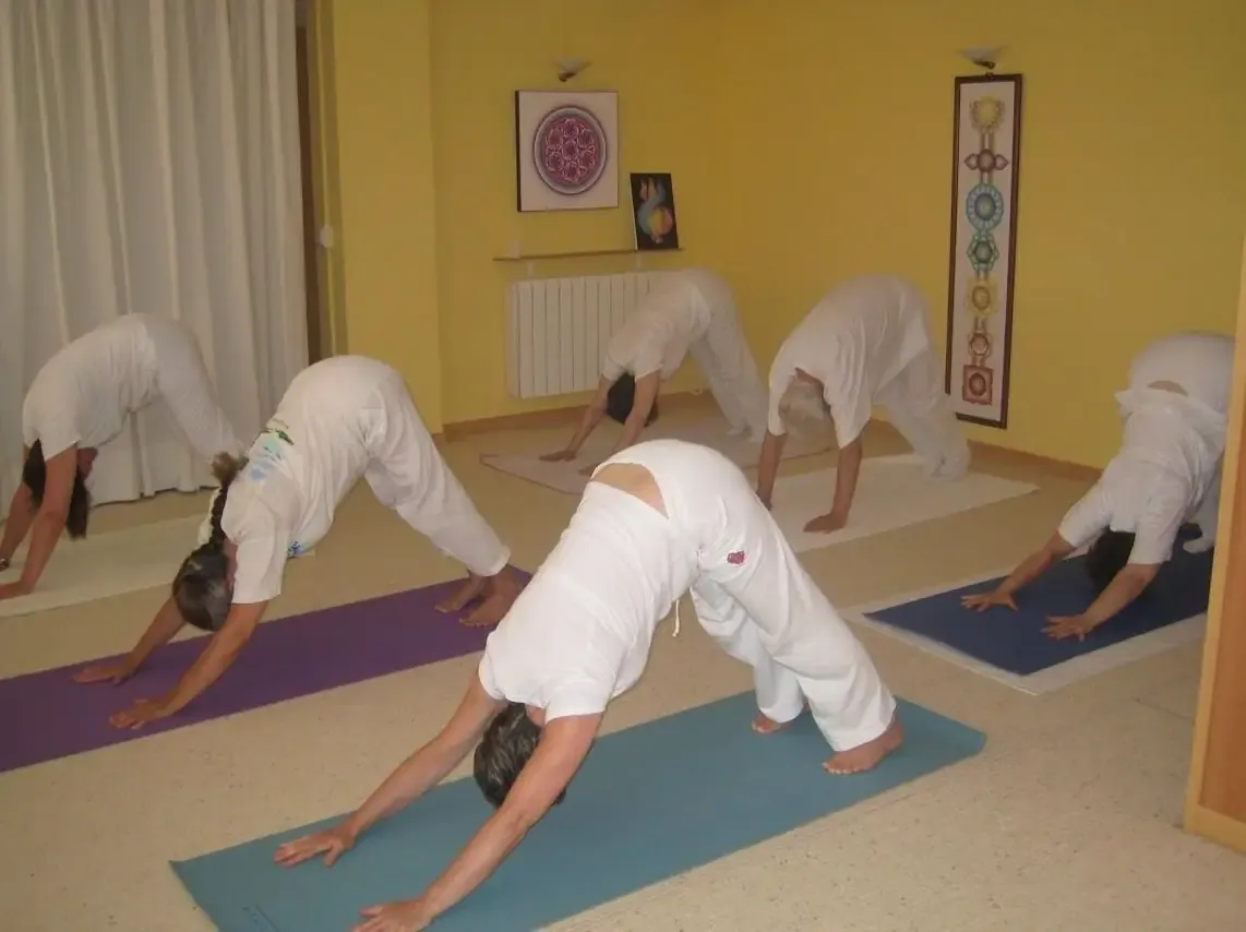 Centre De Yoga Ananda — yoga-studio i Sant Feliu de Llobregat — bild 2