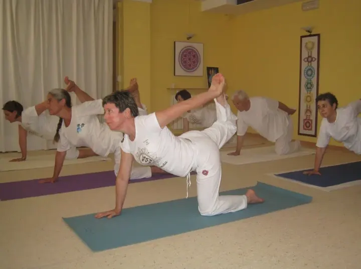 Centre De Yoga Ananda — yoga-studio i Can Falguera, Sant Feliu de Llobregat