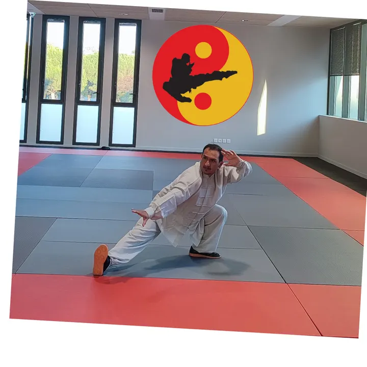 Tao Siu Liem — arts martiaux-studio à La Paderne, Toulouse — 2