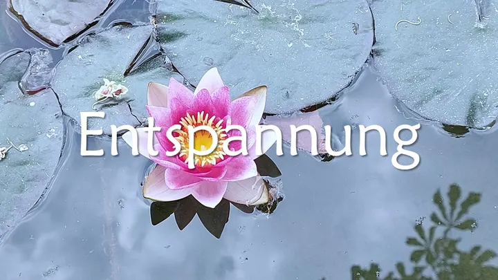 Gesundheitsweg Yoga, Pilates & Entspannung — yoga-studio in Heidelberg — 4