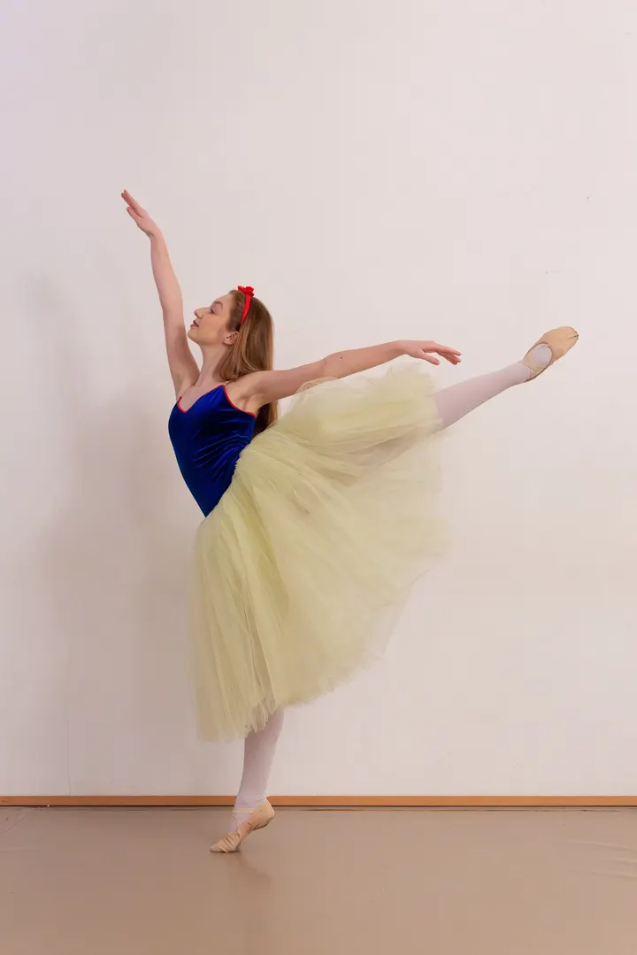 Ballettschule Dance Art Bremerhaven — Tanz in Geestemünde, Bremerhaven