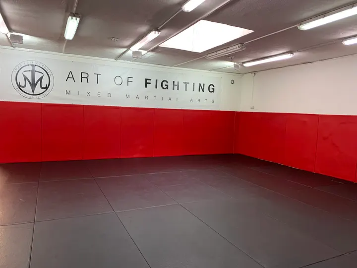 Art Of Fighting Academy — mma-studio à Caucade, Nice — 2