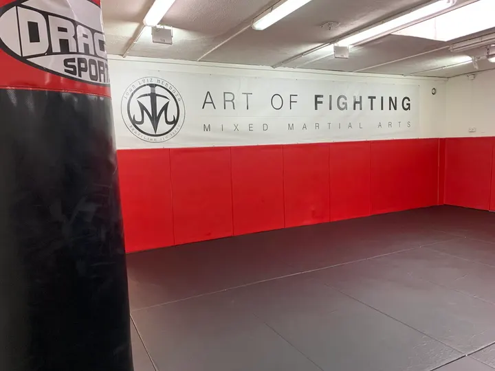 Art Of Fighting Academy — mma-studio à Caucade, Nice — 3