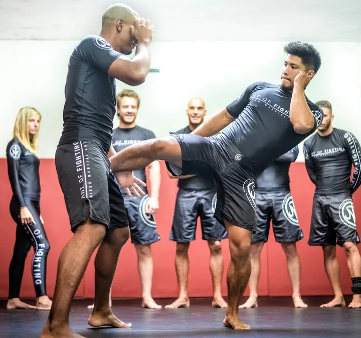 Art Of Fighting Academy — mma-studio à Nice — 5