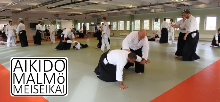 Aikido Malmö Meiseikai — martial arts-studio i Limhamn, Malmö