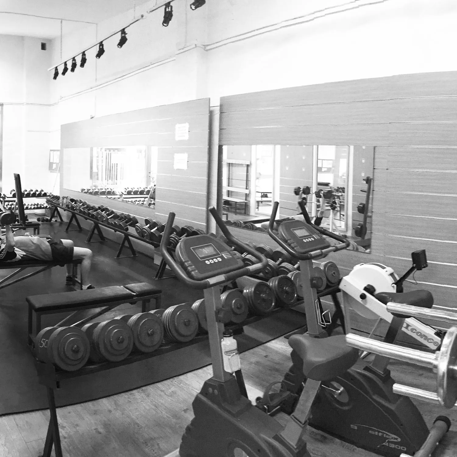 Ystad Kraftsportklubb — styrketräning-studio i Ystad — bild 4