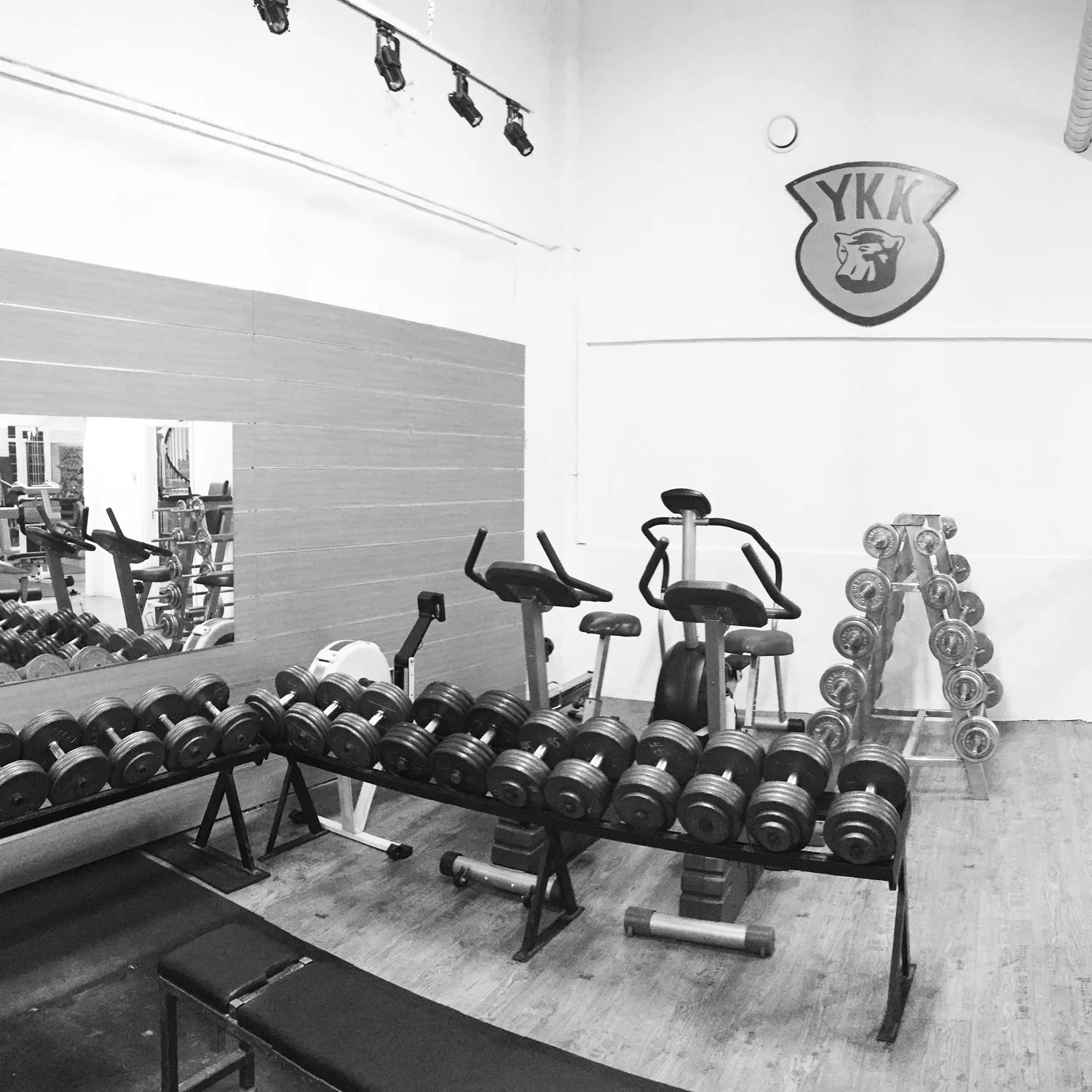 Ystad Kraftsportklubb — styrketräning-studio i Ystad — bild 6
