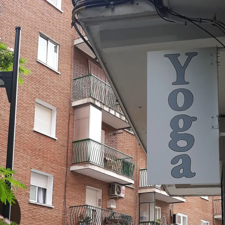 Dalraj Singh. Instructor de Yoga — yoga-studio en Suroeste, Alcorcón — 3