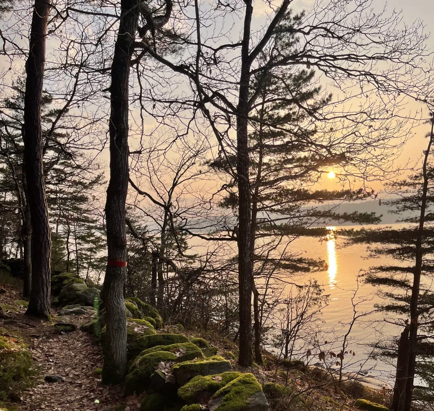 Hälsohuset — träningsstudio i Sätila — 3