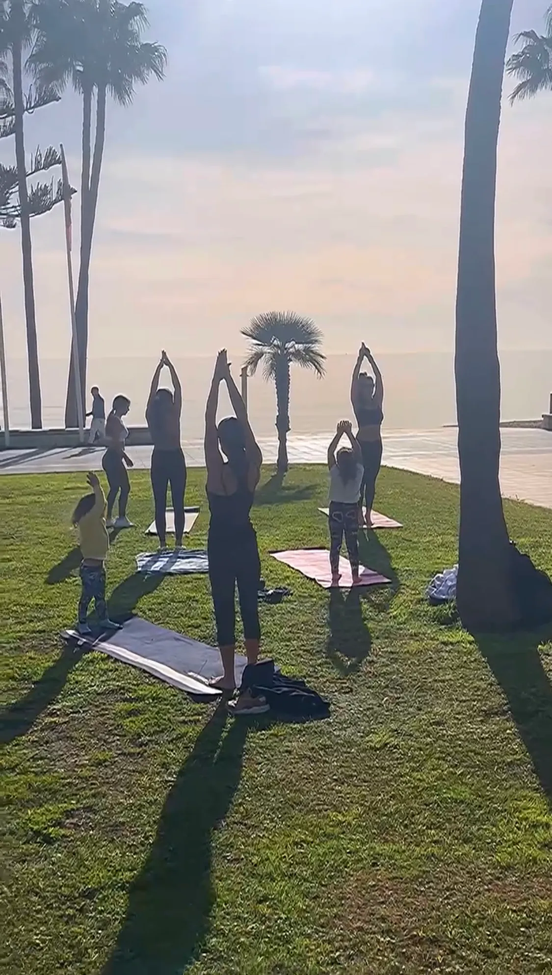 Nictorious Fitness — estudio de fitness-studio en Marbella — 3