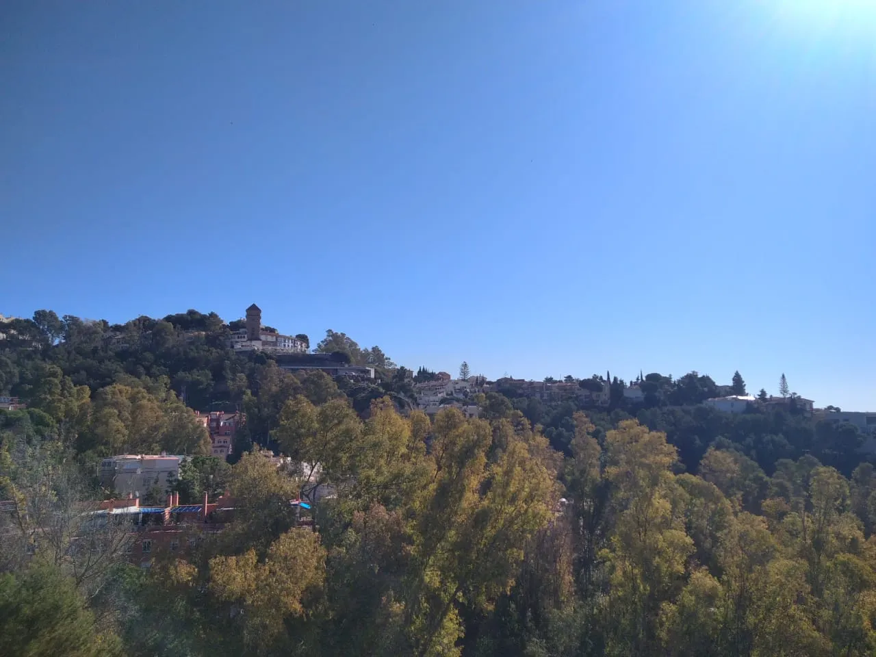 Saddhā Yoga Málaga — yoga-studio en Málaga — 5