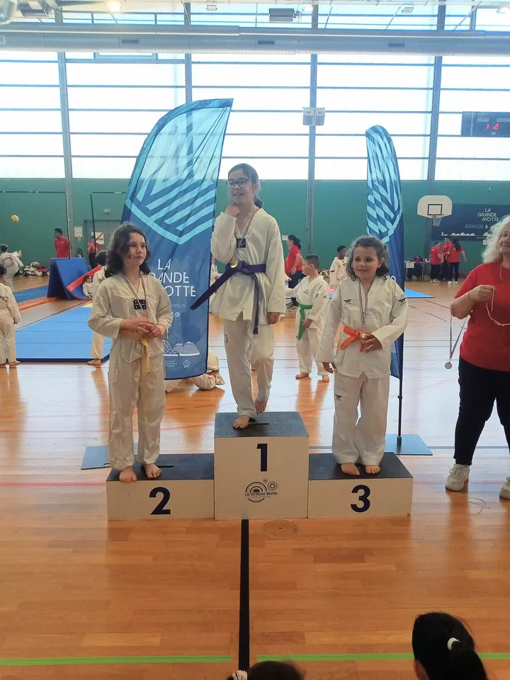 Taekwondo — arts martiaux-studio à Bas Vernet, Perpignan — 2