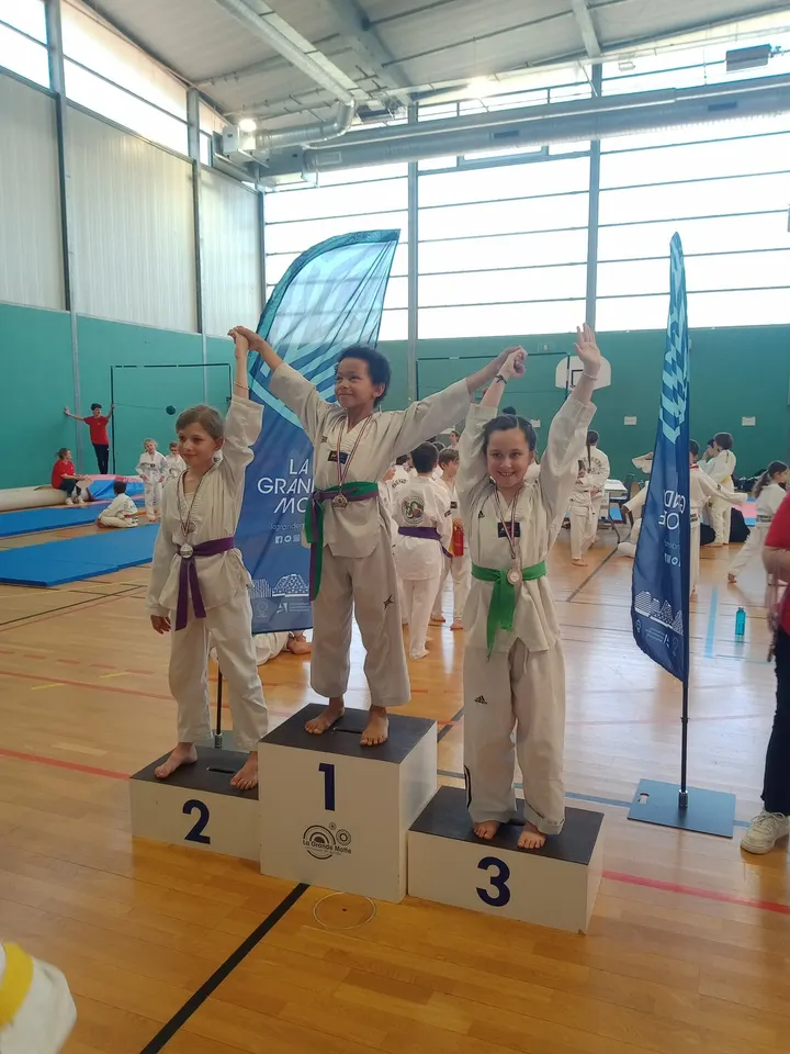Taekwondo — arts martiaux-studio à Bas Vernet, Perpignan — 3