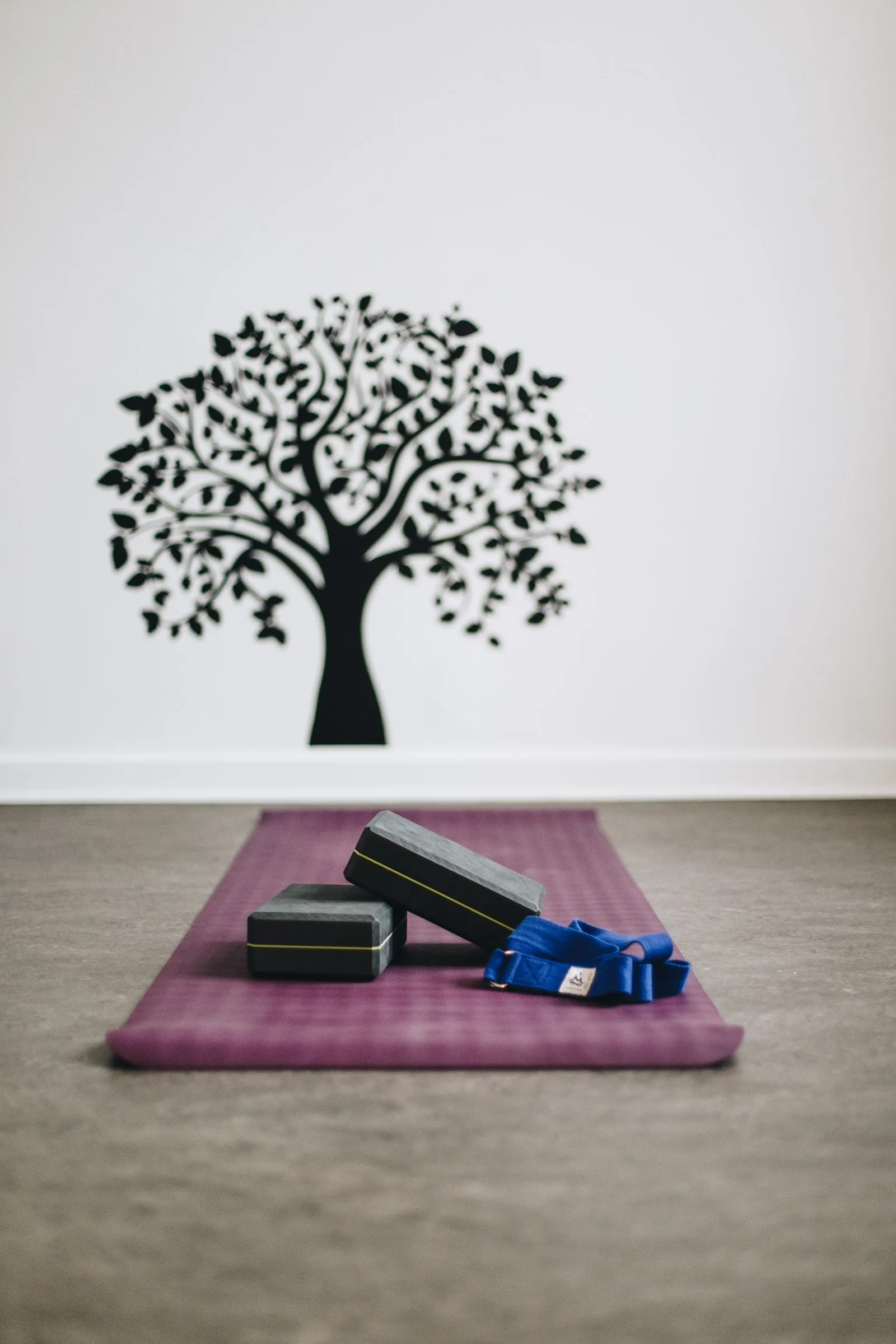 Kitchen Yoga — yoga-studio i Roskilde — 3