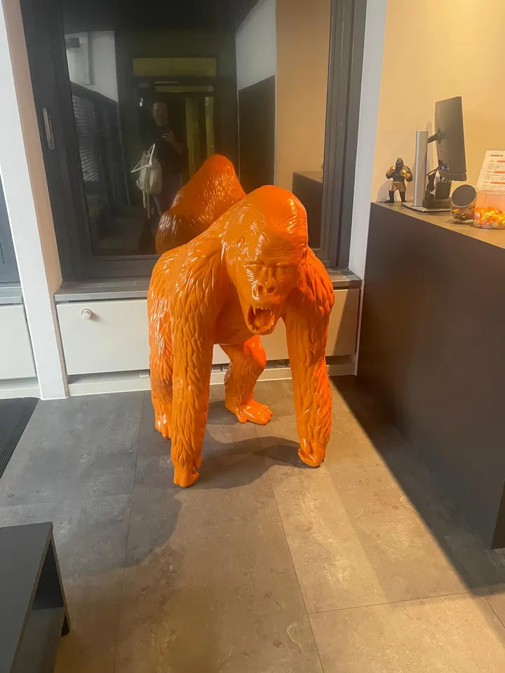KONGS GYM Vaihingen — kampfsport-studio in Stuttgart — 5