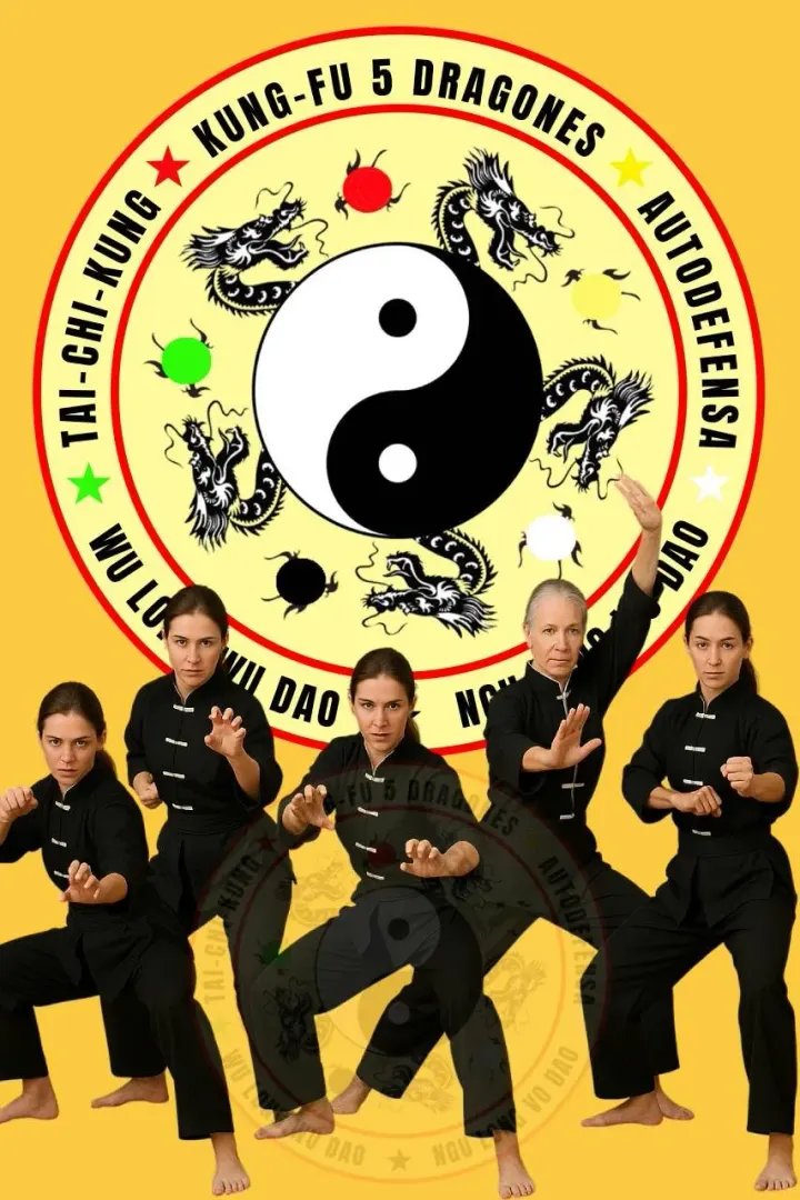 Kung Fu 5 Dragones — martial arts-studio i el Centre, Sabadell