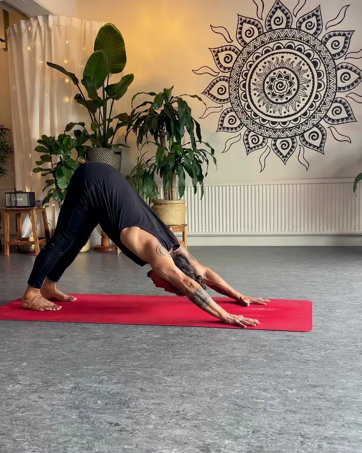 XavyMovement Yoga Studio — yoga-studio in Ingolstadt — 3