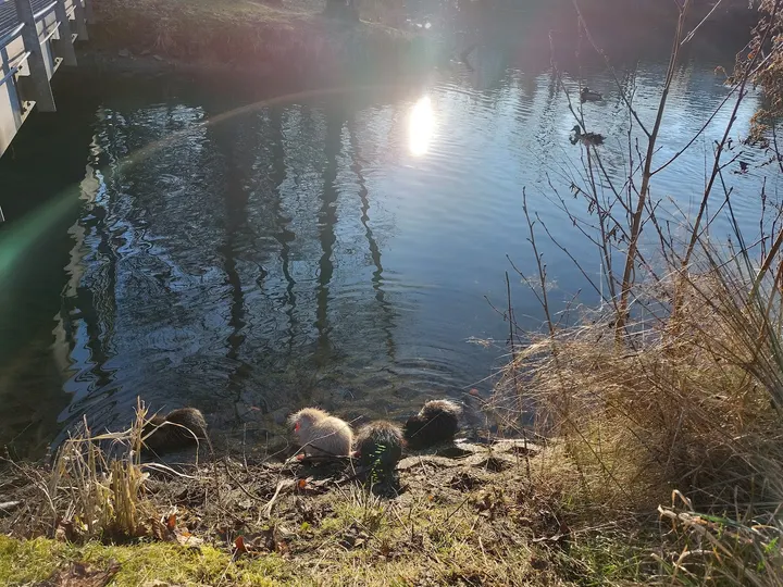 Sportpark am See — Fitnessstudio in Wiehl