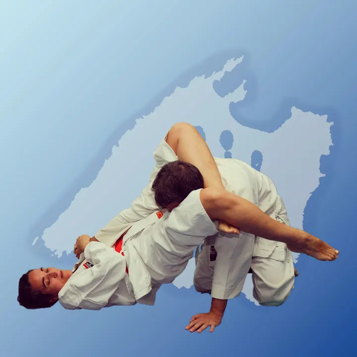 Defensa Personal Mallorca — Artes marciales en Els Hostalets, Palma